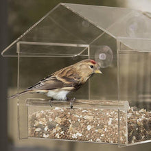 Lade das Bild in den Galerie-Viewer, BirdBuddy™️ Feeder