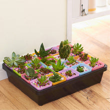 Lade das Bild in den Galerie-Viewer, Garden Seed Starter Set