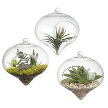 Lade das Bild in den Galerie-Viewer, Viri Glass Hanging Globe