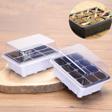 Lade das Bild in den Galerie-Viewer, Nursery Pot Seed Tray Kit