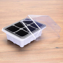 Lade das Bild in den Galerie-Viewer, Nursery Pot Seed Tray Kit