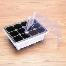 Lade das Bild in den Galerie-Viewer, Nursery Pot Seed Tray Kit