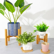 Lade das Bild in den Galerie-Viewer, Wooden Plant Pot Stand