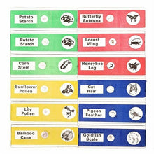 Lade das Bild in den Galerie-Viewer, 12x STEMskop Objektträger